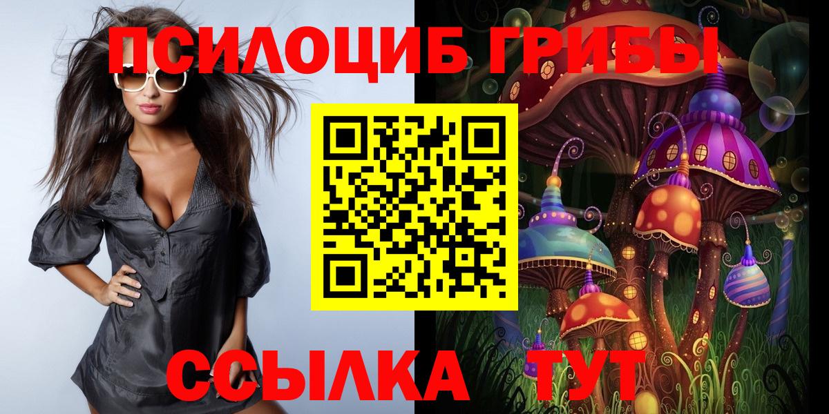 Галлюциногенные грибы Psilocybe Краснодар